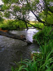 Gamla Hjälmare Kanal